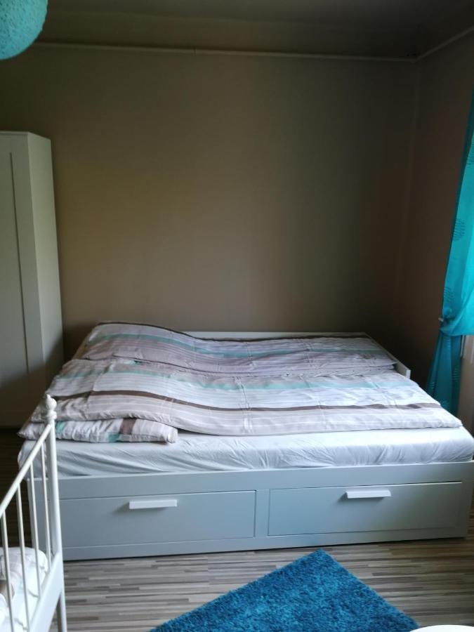 Zso-Ze Apartman ทิสซาฟือแรด ภายนอก รูปภาพ